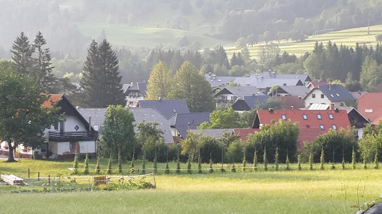 Vila The Oldmillhouse Mojstrana Exteriér fotografie